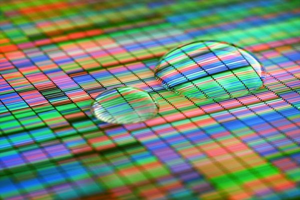 Quelles astuces pour éliminer les taches de sang sur les vêtements